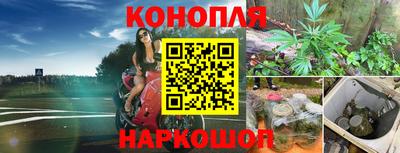 гидропоника Тара