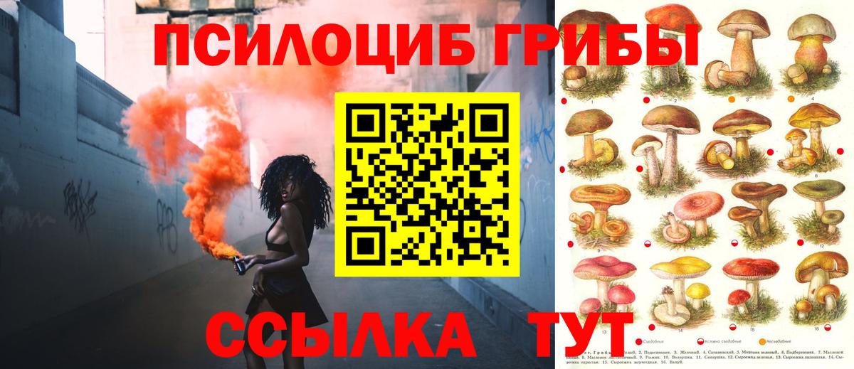 Псилоцибиновые грибы мухоморы  Галлюциногенные грибы Psilocybe  Вход с VPN  Похвистнево 